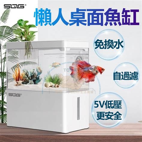 龍穴意思 小缸養魚